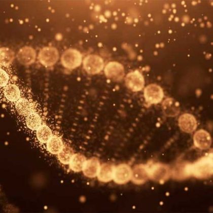 Gene Therapy Could Treat Atrial Fibrillation