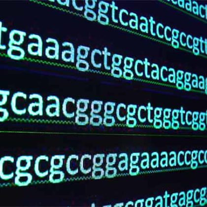 New Genetic Regulators Could Improve Cancer Immunotherapy