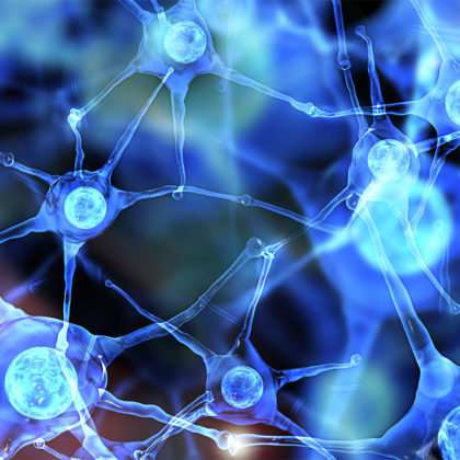 Untangling Alzheimer’s