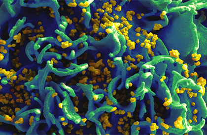 Basic Science Believer