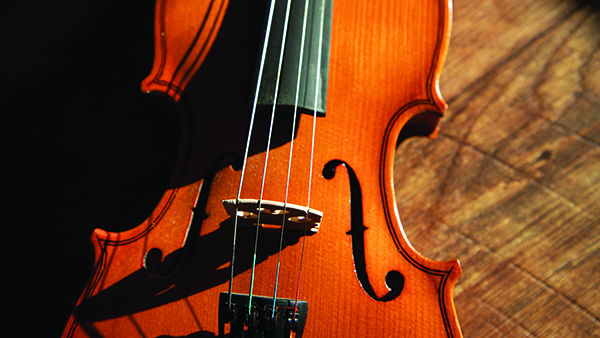 Close view of violin strings and bridge