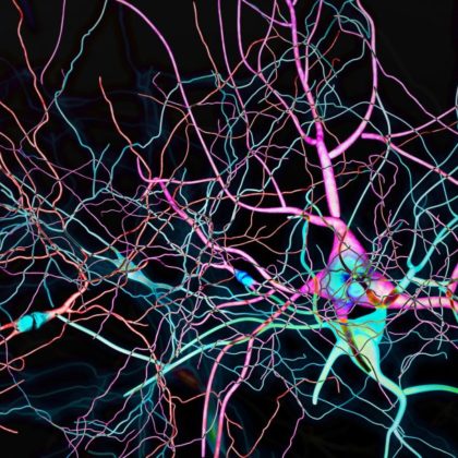 ‘Soft’ Symptoms Detected Before Parkinson’s Disease