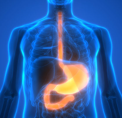 Evaluating Esophageal Hypervigilance and Symptom Anxiety