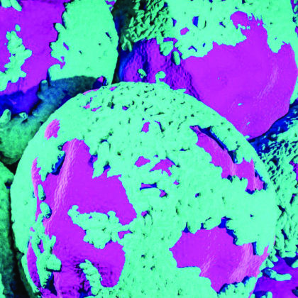 Key Findings in Cancer Care for Women