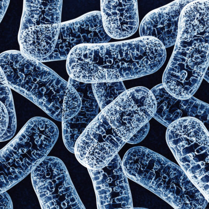 Investigating Long-Lived Mitochondrial Proteins