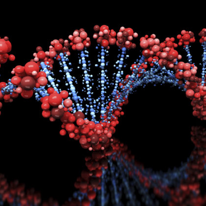 Northwestern Scientists Explore Impacts of Genomic Variation in Disease