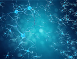 Conceptual illustration of neuron cells with glowing link knots. Synapse and Neuron cells sending electrical chemical signals. Neuron of Interconnected neurons with electrical pulses, 3D illustration