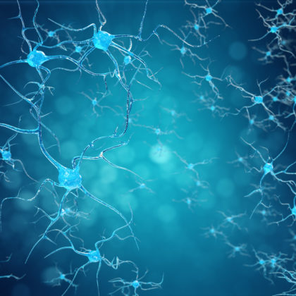 New Insights into the Mechanism of ALS