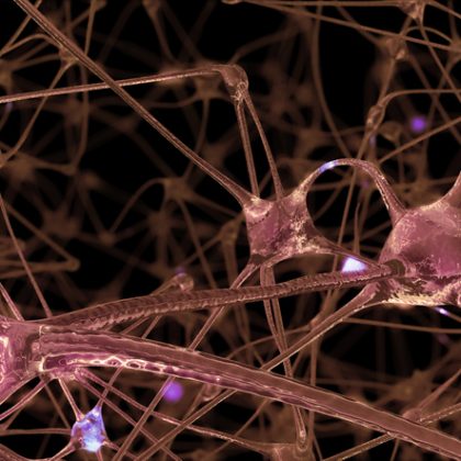 Study Discovers Potential Biomarkers of Environmental Exposures in Parkinson’s Disease