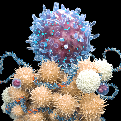 Maximizing the Power of T-cells