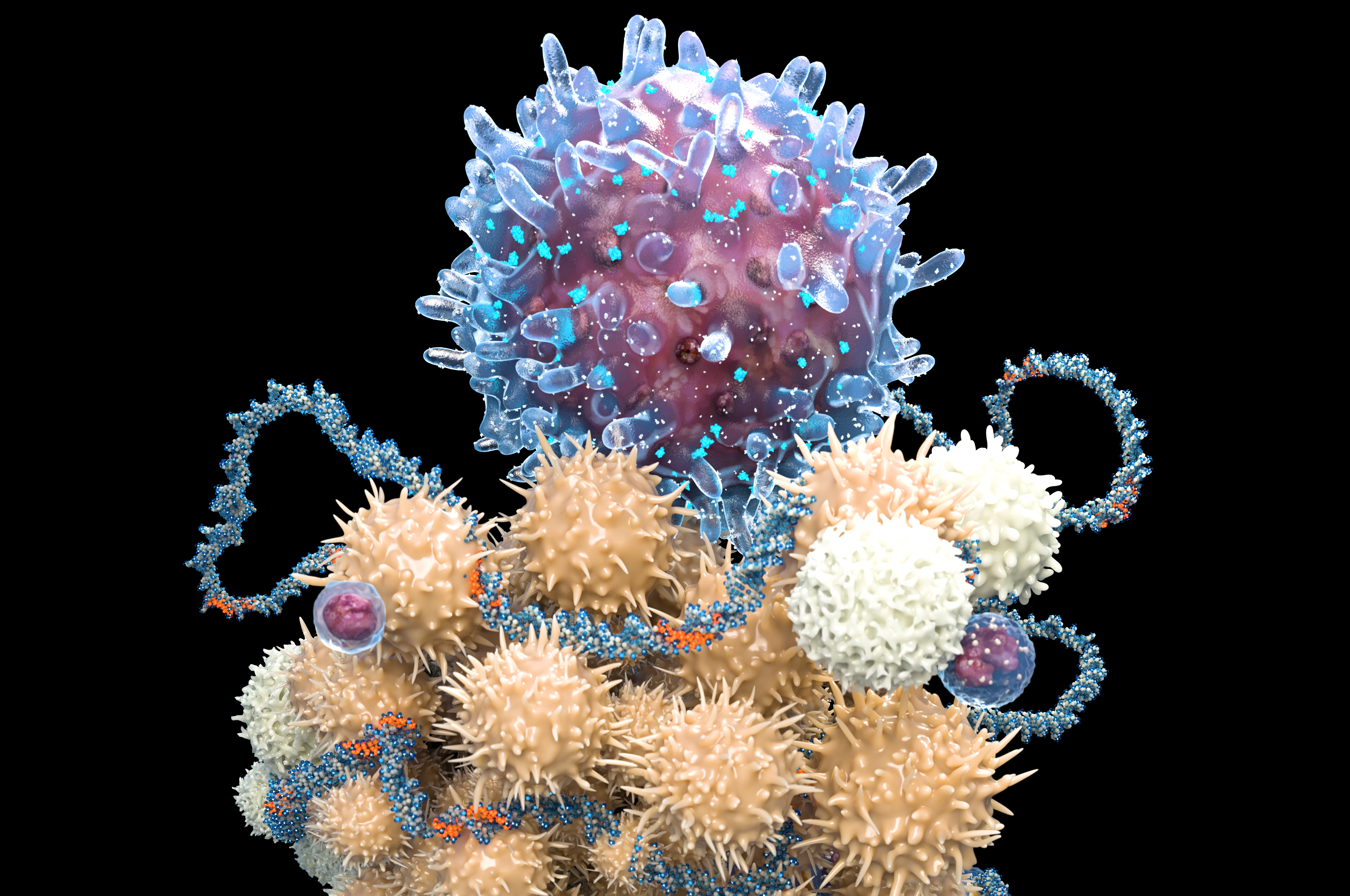 Maximizing the Power of T-cells