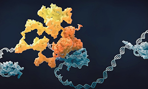 gene expression