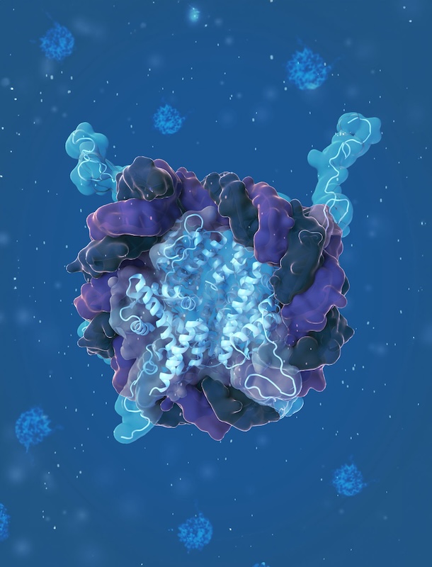 Nucleosome wreath