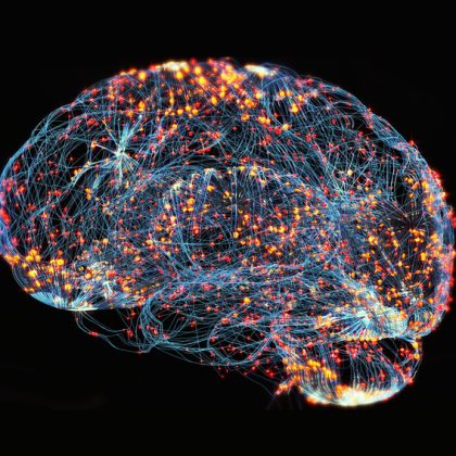 Non-Neuron Brain Cells Produce a Third of Amyloid Plaque in Alzheimer’s Disease