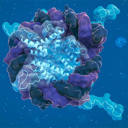 Decoding the Epigenome