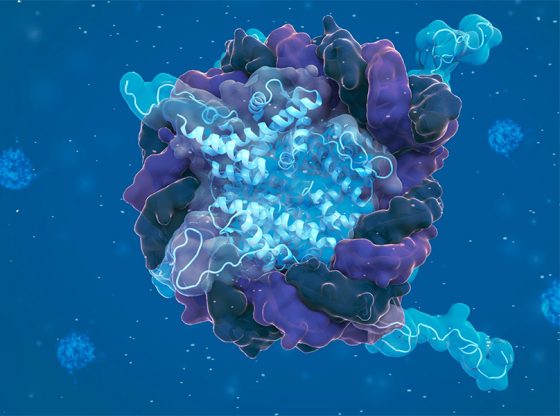 Nucleosome wreath