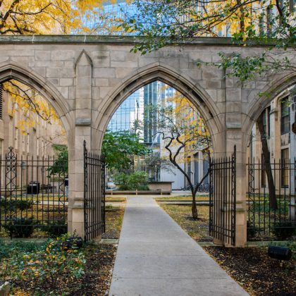 Faculty Recognized for Contributions to Science