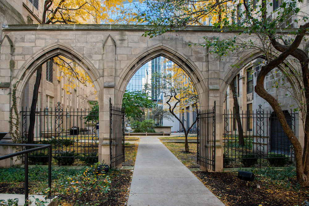 Faculty Recognized for Contributions to Science