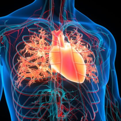 Most US Adults Have Hearts Older than Their Actual Age