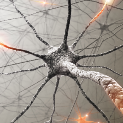 Memories Drift Across Neurons Over Time