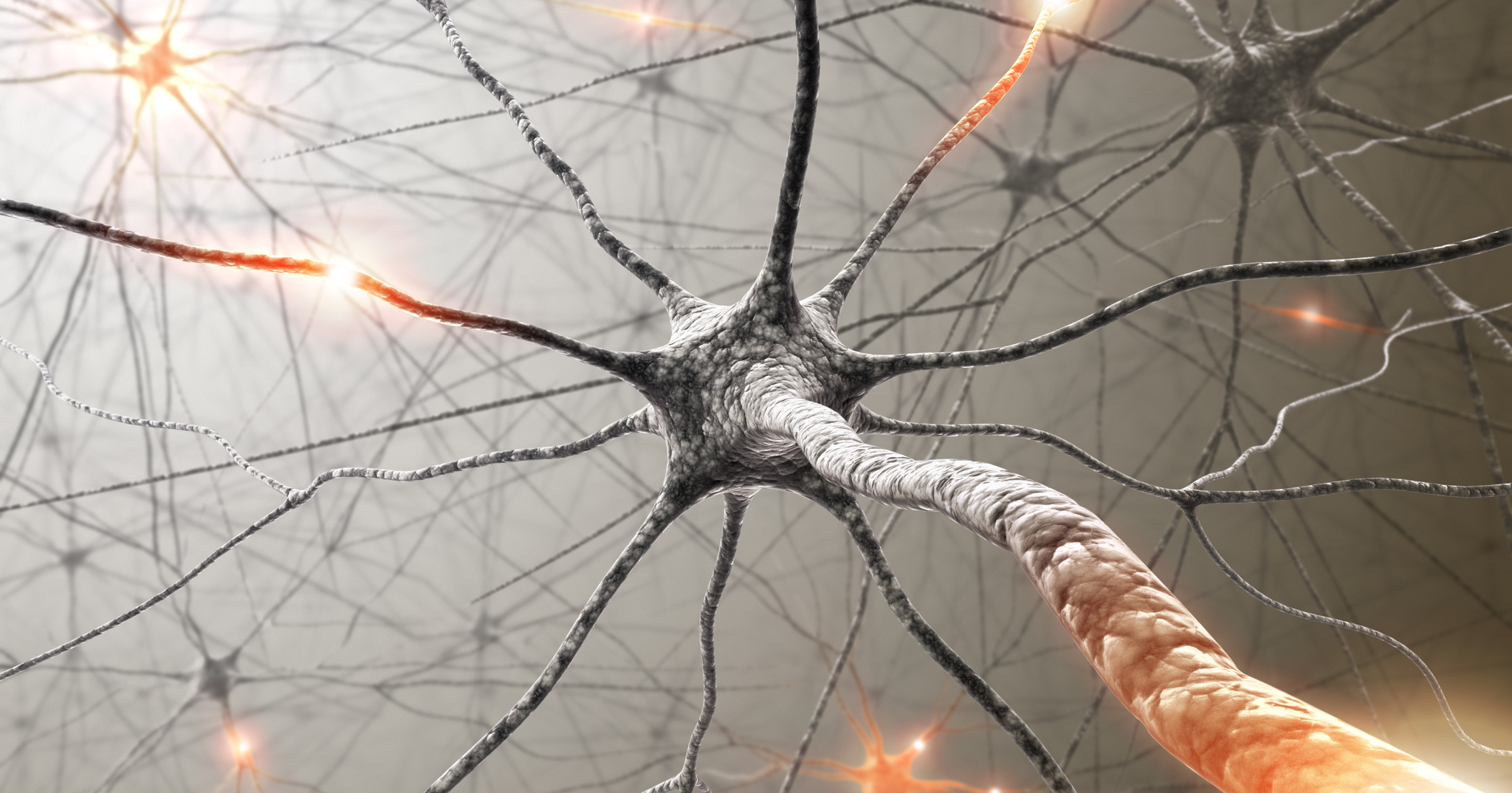 Memories Drift Across Neurons Over Time