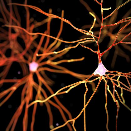 FDA-Approved Compound Promotes Neuroprotective Effects in Parkinson’s Disease