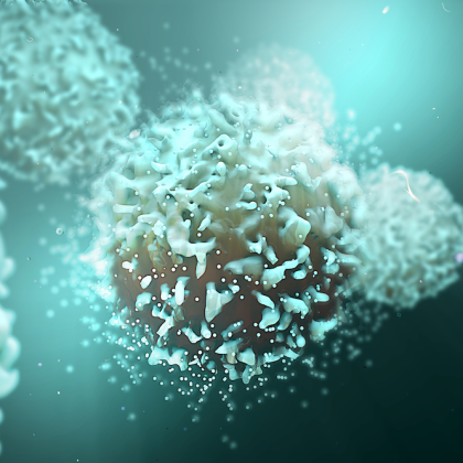 Targeting Cellular Mechanisms May Improve Immune Response in Chronic Infections