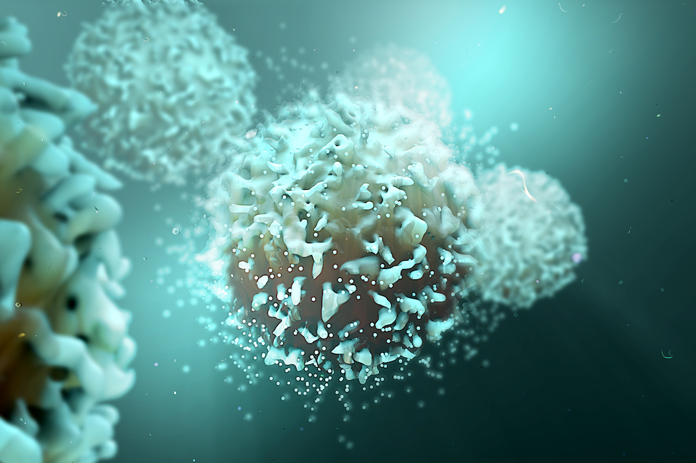 Targeting Cellular Mechanisms May Improve Immune Response in Chronic Infections