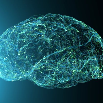 Uncovering Cellular Drivers of Increased Brain Signal Activity