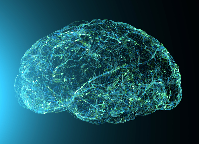 Uncovering Cellular Drivers of Increased Brain Signal Activity